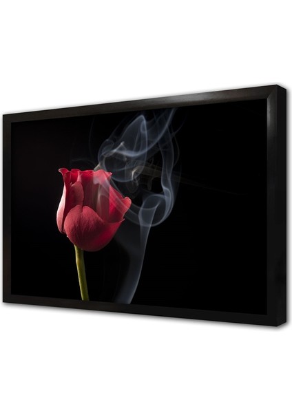 Kırmızı Gül Çerçeveli Cam Tablo