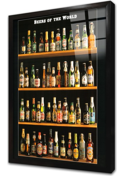 Bira Şişeleri Çerçeveli Cam Tablo
