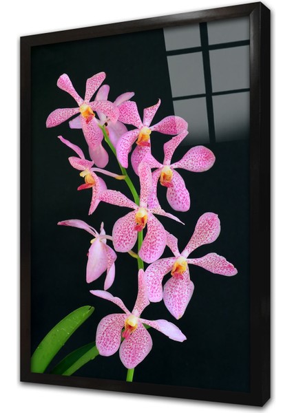 Mor Çiçek Çerçeveli Cam Tablo