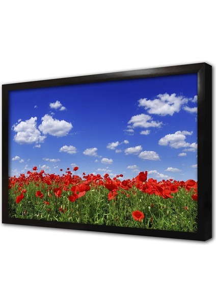 Kırmızı Gelincik Çerçeveli Cam Tablo