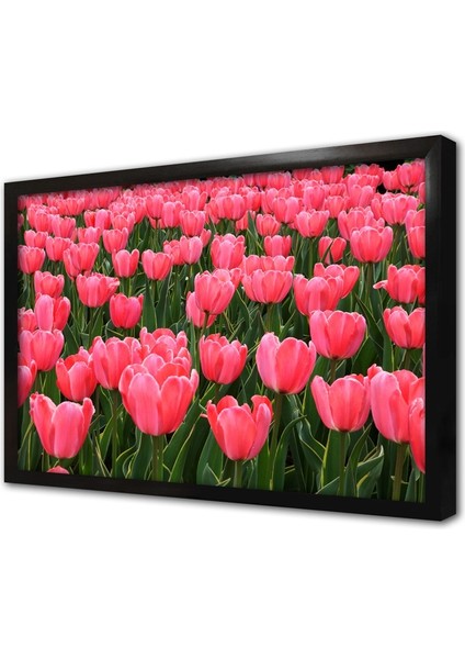 Lalelerin Aşkı Çerçeveli Cam Tablo