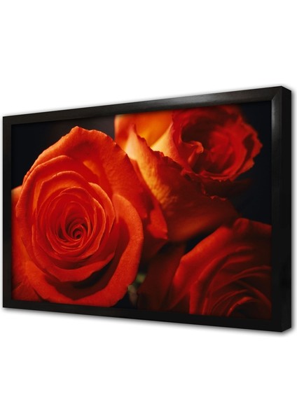 Kırmızı Gül Çerçeveli Cam Tablo