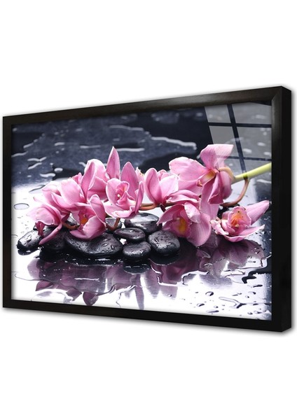 Spa Taşları ve Orkide Çerçeveli Cam Tablo