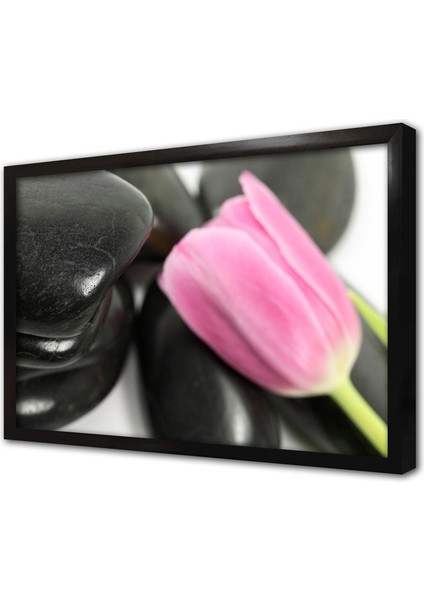 Taşın Üzerinde Pembe Gül Çerçeveli Cam Tablo