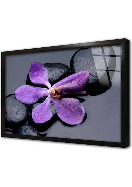 Spa Taşları ve Orkide Çerçeveli Cam Tablo