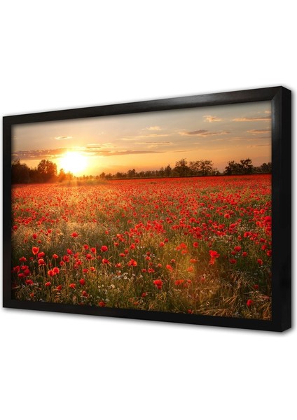 Gün Batımı Eşliğinde Kırmızı Lale Çerçeveli Cam Tablo
