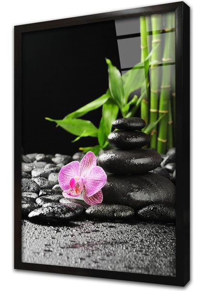 Spa Taşları ve Orkide Çerçeveli Cam Tablo
