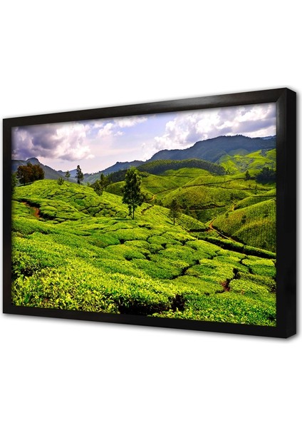 Yeşil Doğa Çerçeveli Cam Tablo