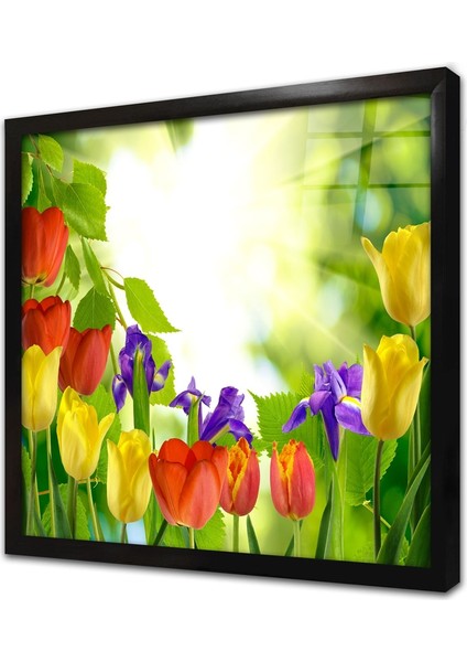 Renkli Laleler Çerçeveli Cam Tablo