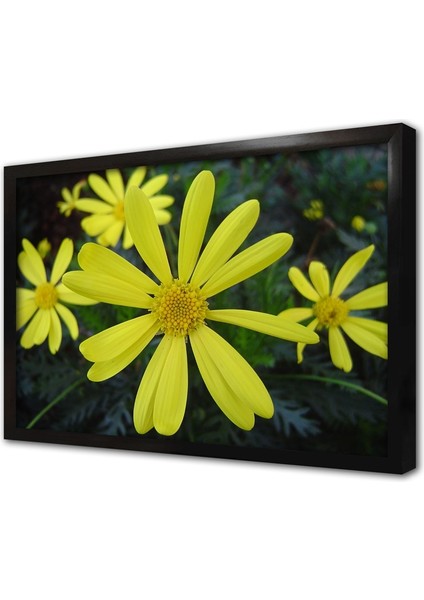 Sarı Çiçek Çerçeveli Cam Tablo