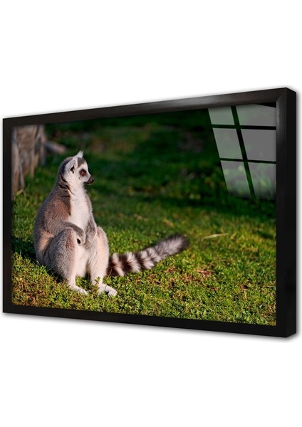 Rakun Çerçeveli Cam Tablo