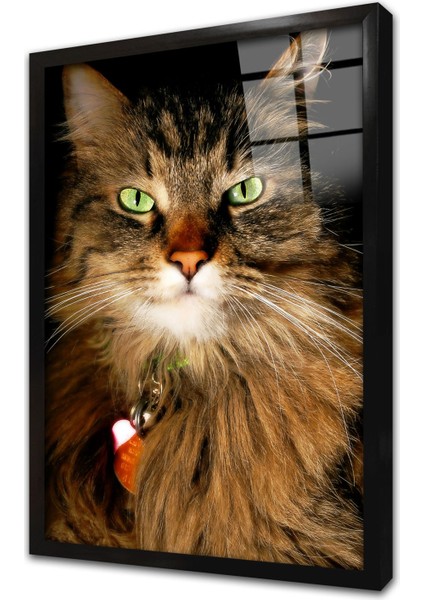 Kedi Çerçeveli Cam Tablo