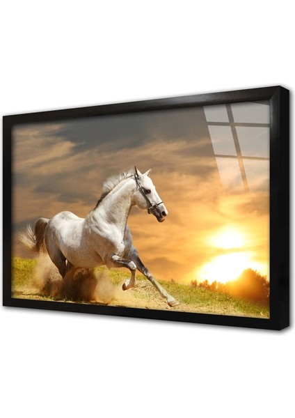 Koşan Beyaz At Çerçeveli Cam Tablo