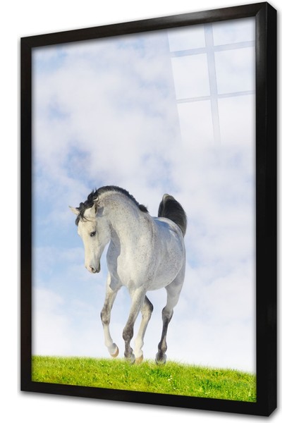 Beyaz At Çerçeveli Cam Tablo