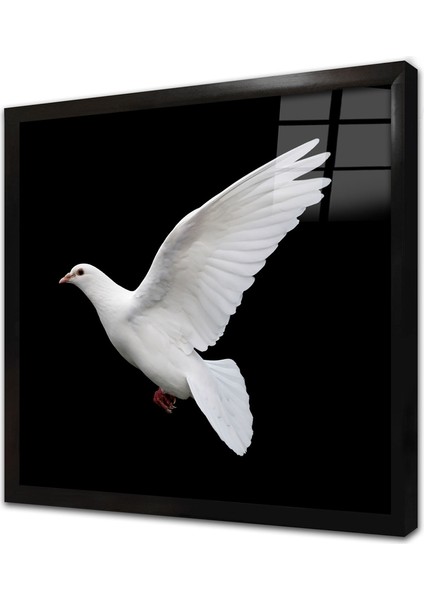 Güvercin Çerçeveli Cam Tablo