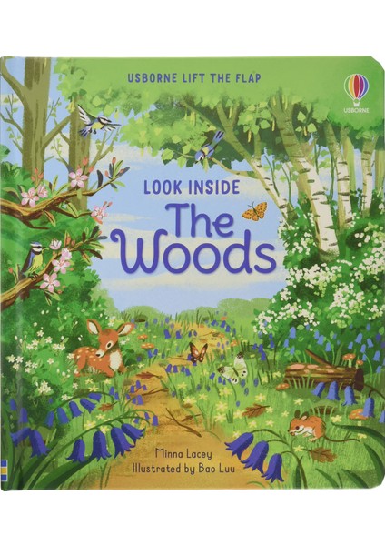 Look Inside The Woods