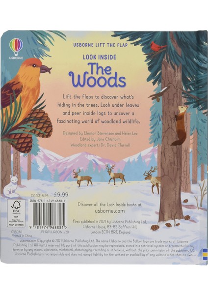 Look Inside The Woods
