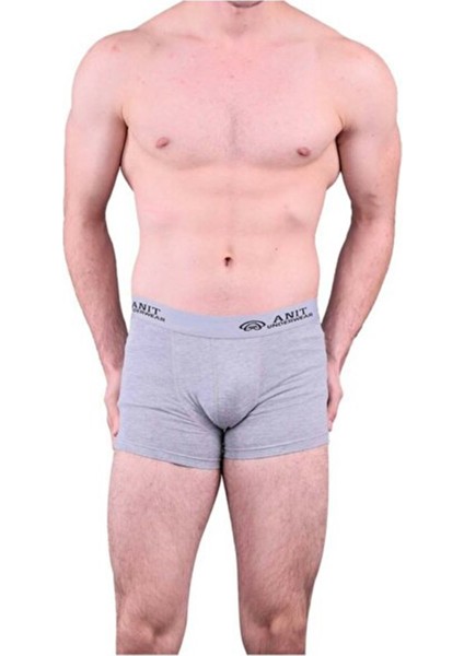 1115 Erkek Boxer Gri