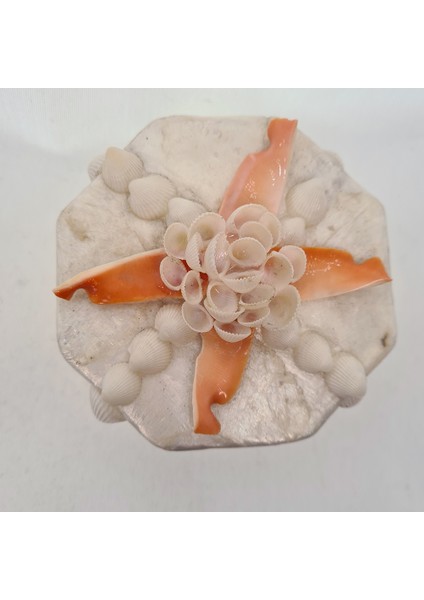 Orta Sedef Altıgen-Red Lips Kutu fiyatları