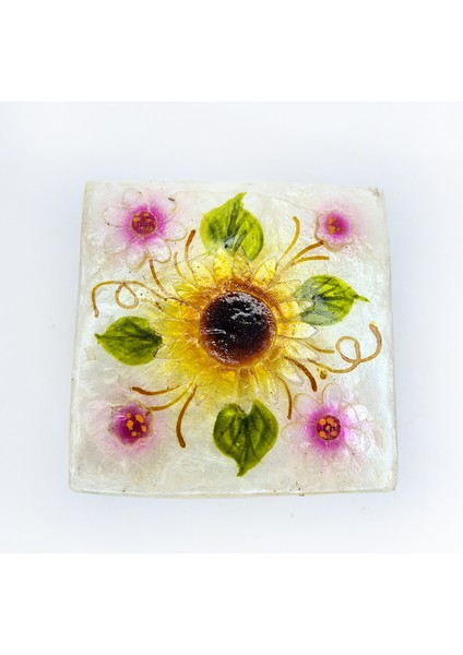 Büyük Sedef Kare-Ay Çiçeği Kutu fiyatları