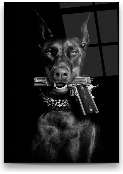 Sert Köpek Dikey Cam Tablo fiyatları
