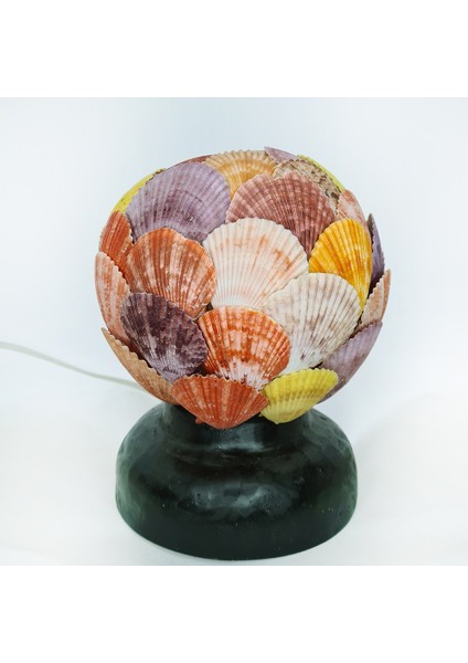 Top Lamba-Pecten Novalis