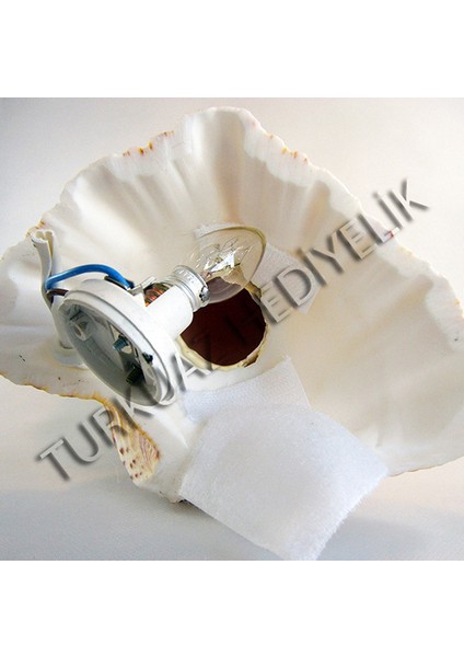 Murex Lamba-8" fırsatları