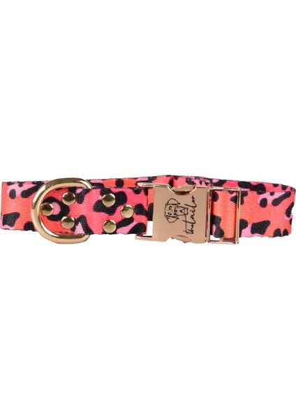 Pink Leo Köpek Boyun Tasması