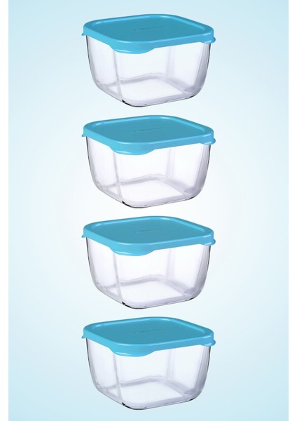 Snowbox Kapaklı Cam Saklama Kabı 4'lü