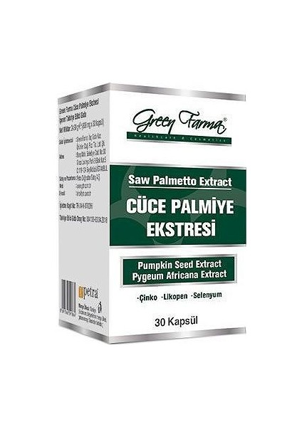 Cüce Palmiye