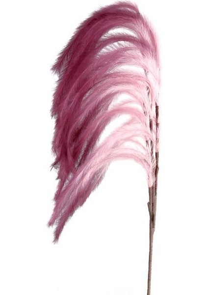Pembe Bordo Degrade Püsküllü Sarkan Dal