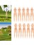 10X Golf Plastik Adım Tees 3 Inç Kadın Golf Tees Eğitim Ekipmanı (Yurt Dışından) 3