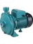 CPM158 Model Salyangoz Fanlı 1hp Su Pompası 1