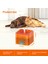 Easy Home Pet Kedi Su Çeşmesi USB Otomatik Kedi Su Sebili Besleyici Köpek Kedi Su Sebili Pet Içme Besleyici (Yurt Dışından) 5