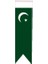 Masa Üstü Kırlangıç Pakistan Bayrağı - 8 x 30 cm Çift Taraflı Saten Kumaş 1