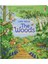 Look Inside The Woods 1