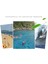 Aquatic Fitness Yüzme Eldiven Web Yatırılmış Havuz Eldivenleri Eğitim Kırmızı S (Yurt Dışından) 5