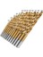 13 Adet/takım 1.5 ~ 6.5mm Yuvarlak Şaft Hss Kaplamalı Titanyum Büküm Matkap Ucu Seti Sac Demir Alüminyum Bakır Ağaç Işleme Metal Aracı (Yurt Dışından) 2