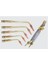 Şalumo Takımı 4'lü Set, 3601 SAP+3611~3614 2
