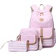  Renk Pembe