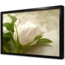 Tablosan Beyaz Gül Çerçeveli Mdf Tablo
