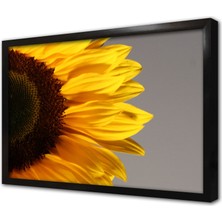 Tablosan Ayçiçeği Çerçeveli Mdf Tablo
