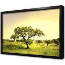 Tablosan Ağaç ve Yeşil Doğa Çerçeveli Mdf Tablo