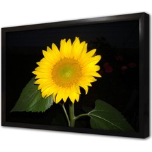 Tablosan Ayçiçeği Çerçeveli Mdf Tablo