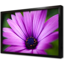 Tablosan Lila Çiçek Makro Çekim Çerçeveli Mdf Tablo