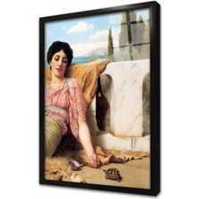 Tablosan Kadın ve Kaplumbağa Çerçeveli Cam Tablo