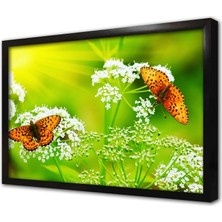 Tablosan Kelebek Çerçeveli Mdf Tablo