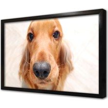 Tablosan Köpek Çerçeveli Mdf Tablo