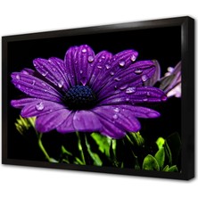 Tablosan Mor Çiçek ve Su Damlacıkları Çerçeveli Mdf Tablo