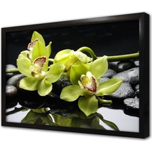 Tablosan Spa Taşları ve Orkide Çerçeveli Mdf Tablo